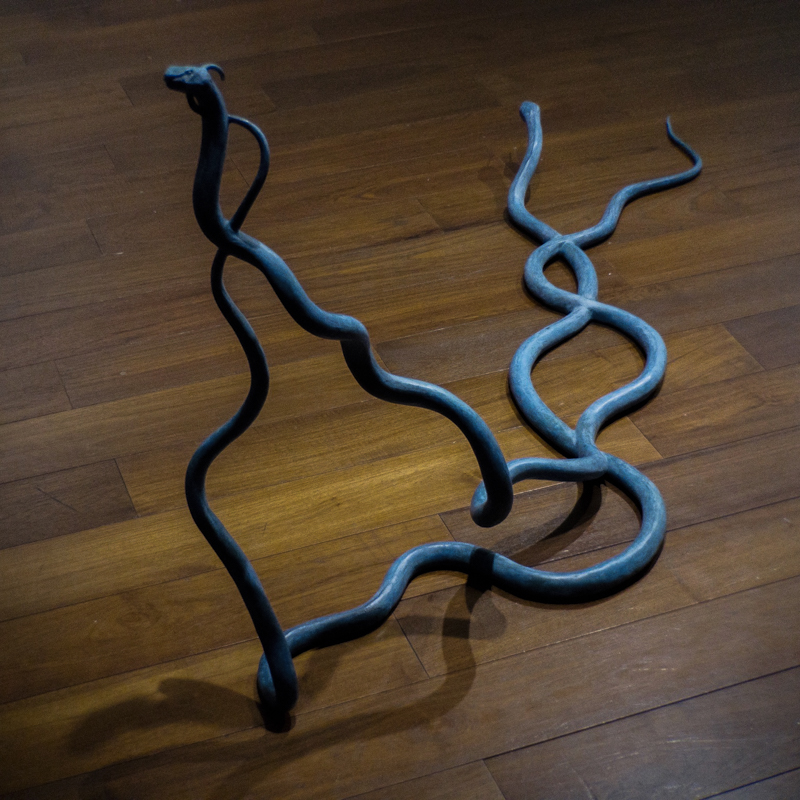 DNA Serpents