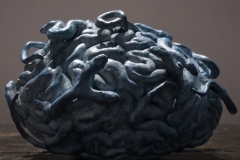 Serpent brain